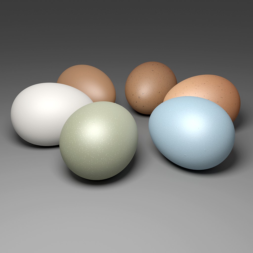 Various Chicken Eggs preview image 3